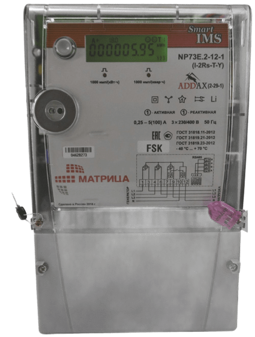 NP73E.2-12-1 (I-2Rs-T-Y) (2-29-1)